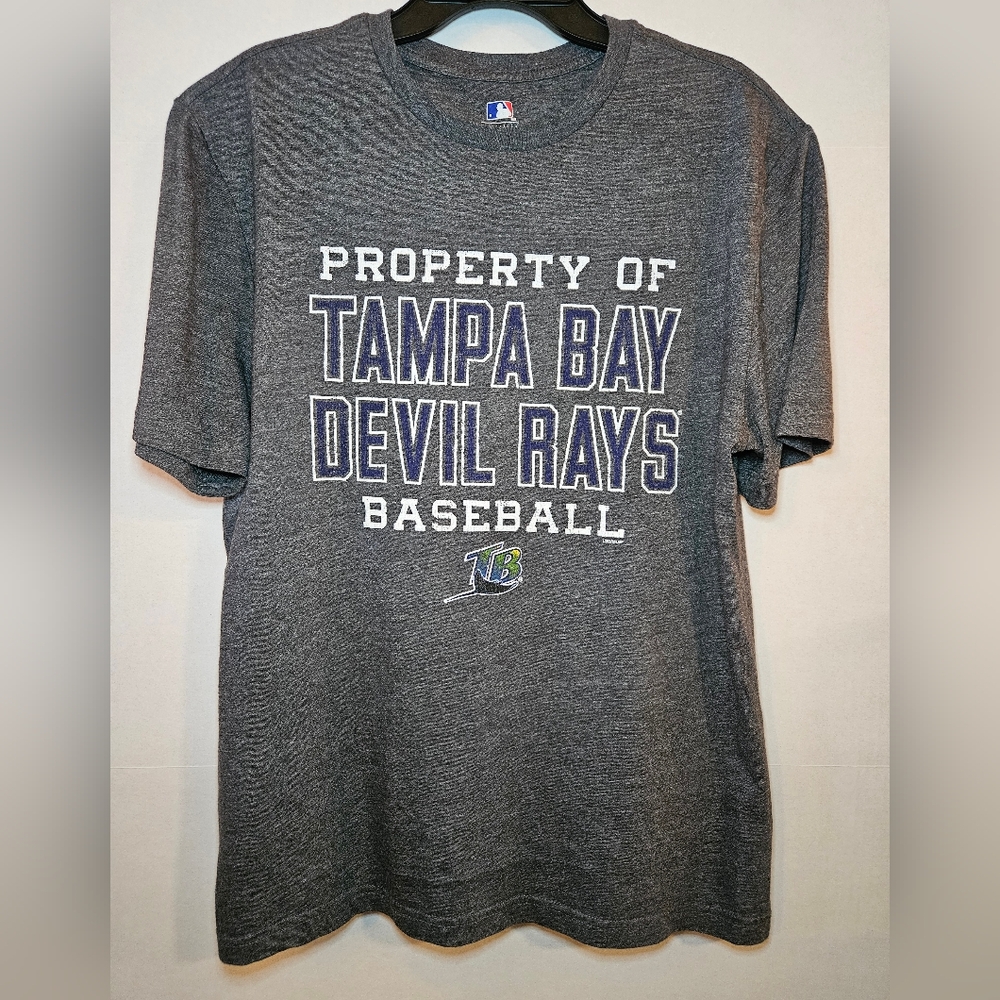 Nike Gray Tampa Bay Devil Rays T-Shirt